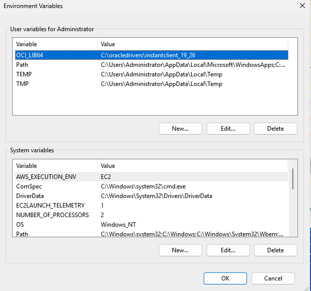 Environment variable path